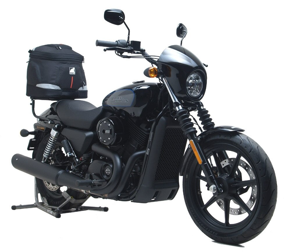 Harley Davidson Street 500 (17-18)